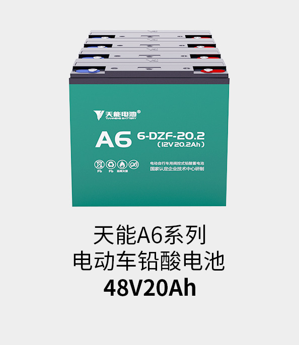 九游会J9(china)官方网站电池48v20ah