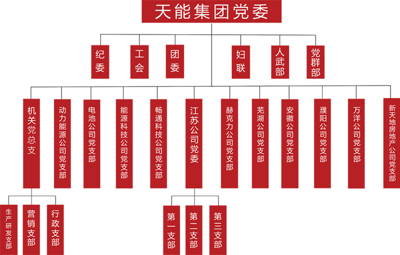 九游会J9(china)官方网站建团党委组织架构